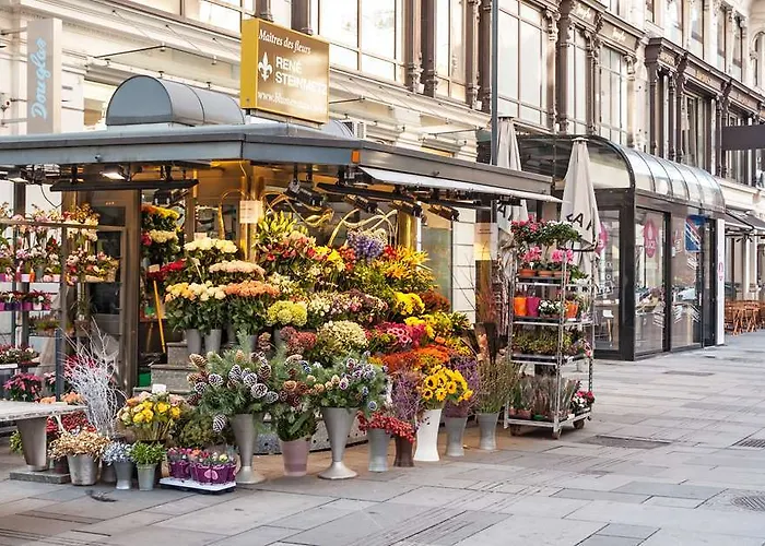Calmo Vienna